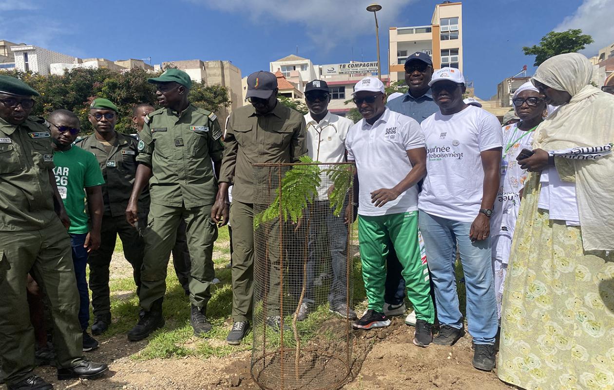 JoJ 2026 : une campagne de reboisement de 100 000 arbres lancée à Dakar