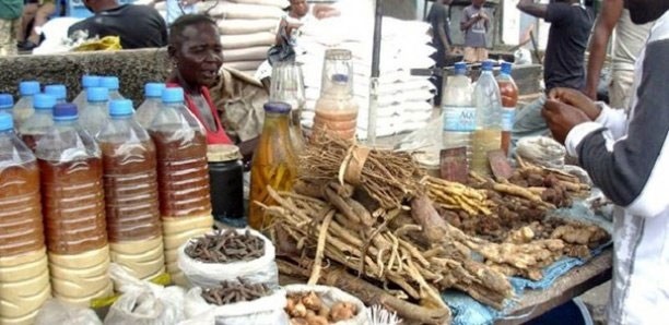 Pharmacopée traditionnelle : vers l’adoption de deux arrêtés pour encadrer ce secteur