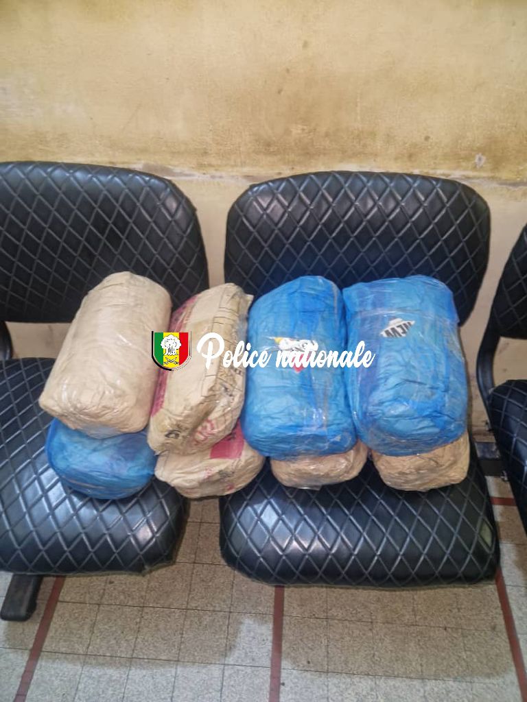 Kaolack : saisie de 8 kg de chanvre indien par la Brigade des stupéfiants