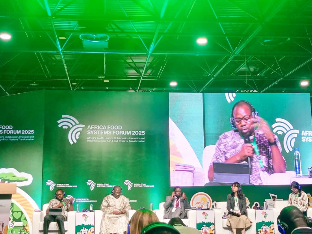 ​Forum africain des systèmes alimentaires : les experts appellent à l'innovation pour transformer l'agriculture africaine