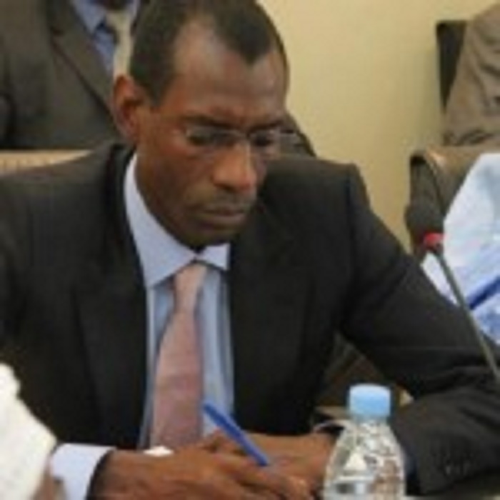 Référendum du 20 mars: 600 bureaux ouverts à l’étranger, la Libye et la Centrafrique extraites