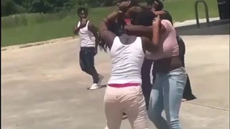 Mbour : une dispute autour d’un jujubier se termine au tribunal