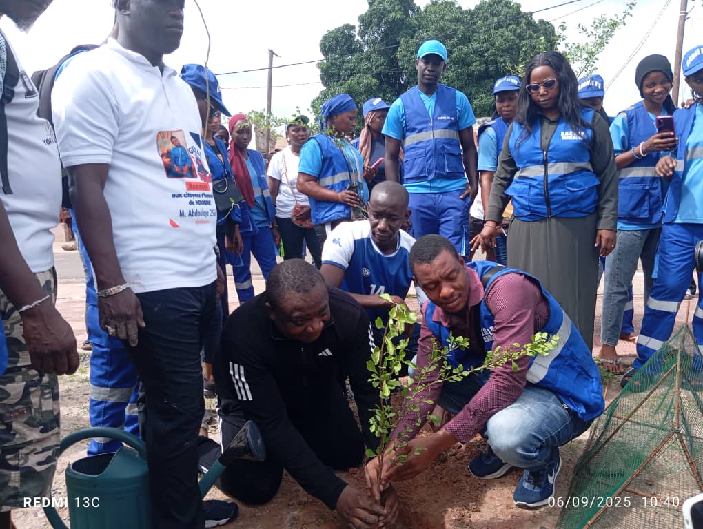 Kolda :  la délégation départementale du Cadre de Vie impulse le projet « Kolda Ville Verte »