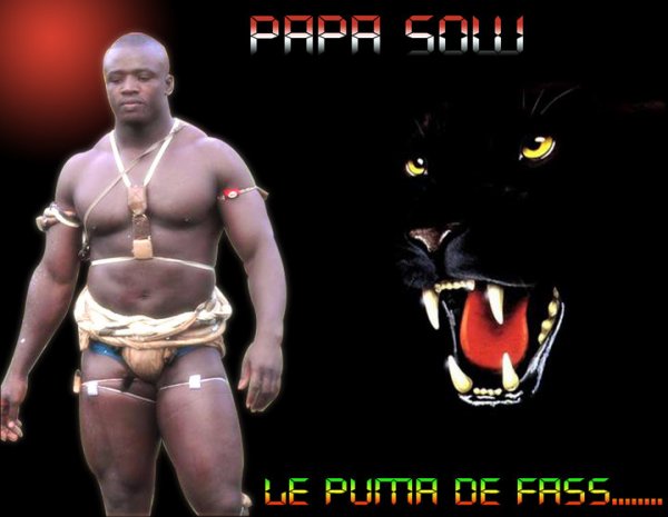 Papa Sow, écurie Fass : « mon combat contre Ama baldé passionne tout le monde »