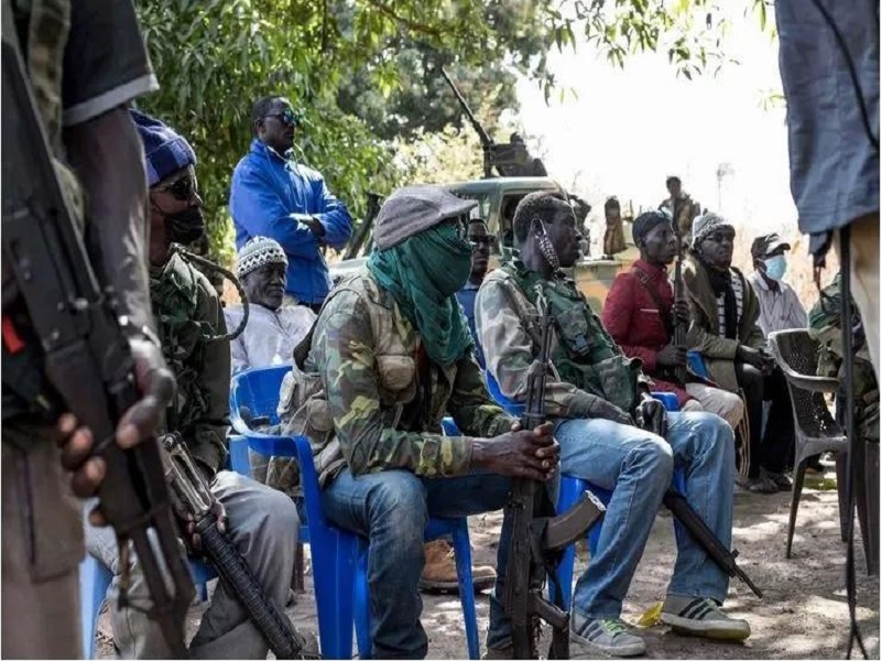 Paix en Casamance : les ex-rebelles du MFDC dénoncent l'inaction de l'Etat