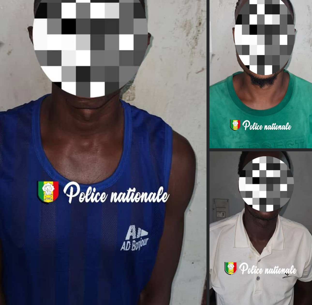 Dakar : Trois (3) individus arrêtés avec du kush et du tramadol