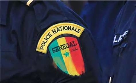 Saint-Louis : un vigile de l’Université Gaston Berger arrêté pour trafic de chanvre indien