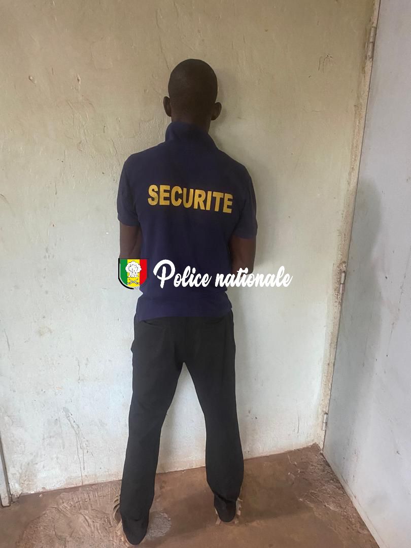 Kédougou : Un trafiquant de chanvre indien interpellé par la police