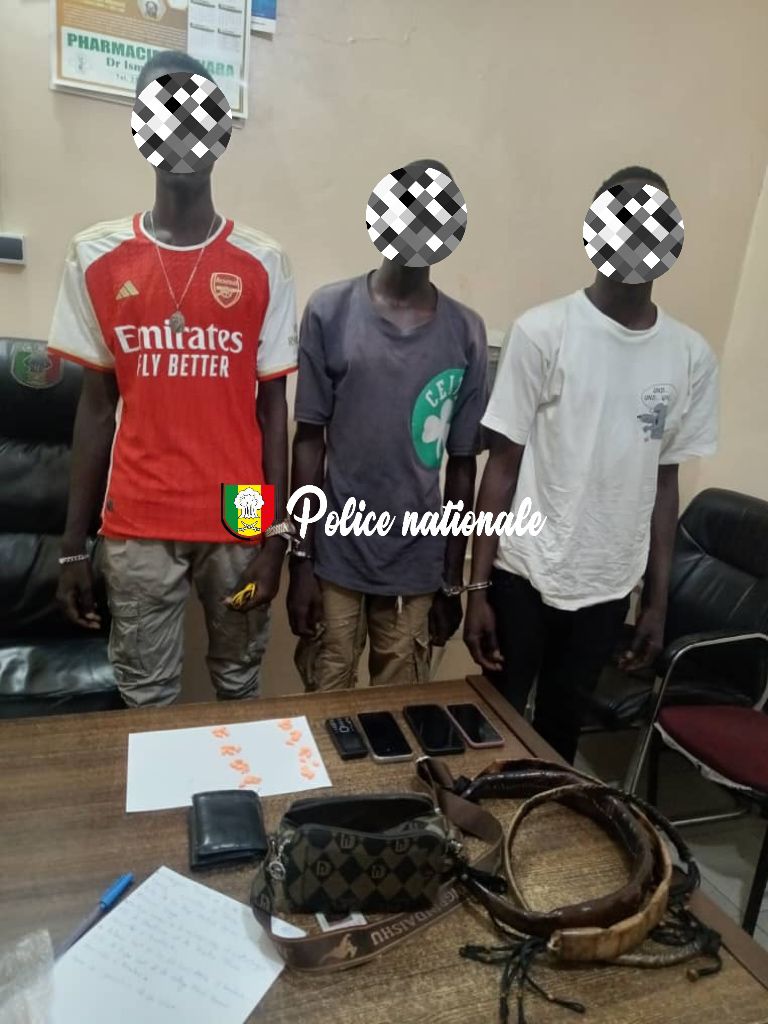 Fatick : trois (3) individus arrêtés avec 40 comprimés d’ecstasy