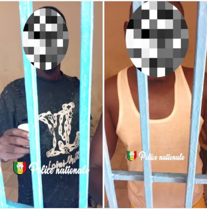 Gouye Mbinde : Deux (2) individus arrêtés pour vol de bétail avec usage d’un moyen de transport