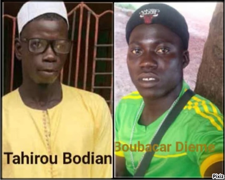 Drame à Bignona : deux jeunes retrouvés morts dans la brousse à Bessire