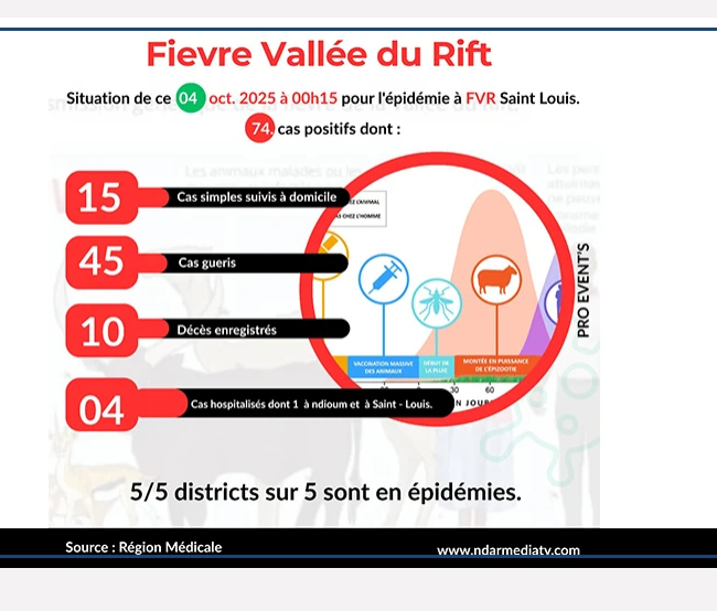 Fièvre de la vallée du Rift : 10 morts et 74 cas confirmés à Saint-Louis