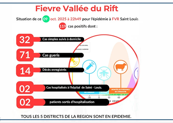 Fièvre de la Vallée du Rift : le bilan s’alourdit à 14 morts dans la région de Saint-Louis