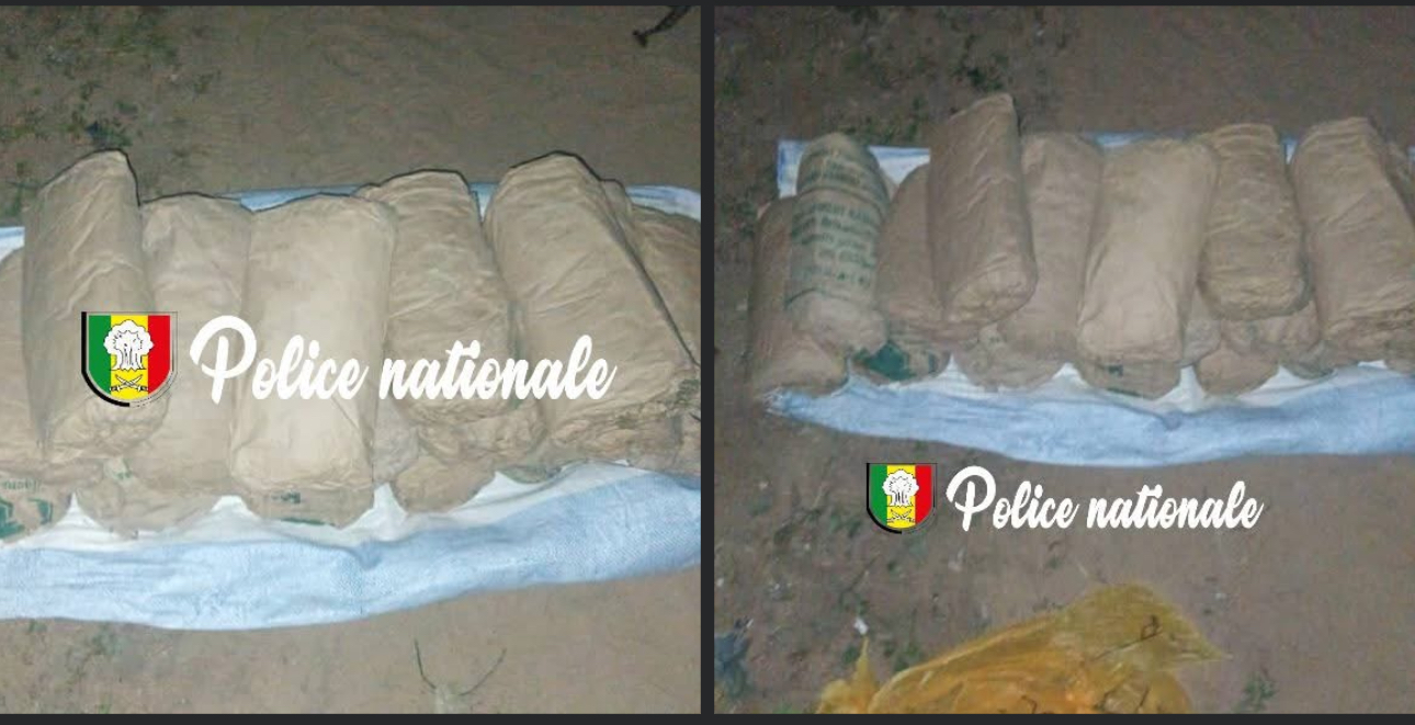 Nguekhokh : 20 blocs de chanvre indien saisis par l’OCRTIS