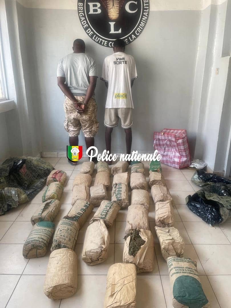 Dakar : un réseau de trafic de drogues démantelé entre Pikine et Ngekhokh, 30 kg de chanvre saisis 