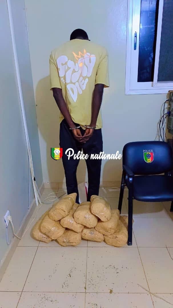 Rufisque : un homme arrêté avec 10 kg de chanvre indien au quai de pêche