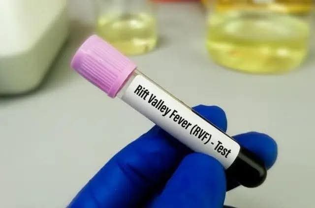 Fièvre de la Vallée du Rift : 8 nouveaux cas positifs enregistré à la date du 7 novembre