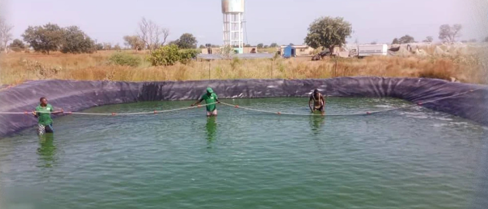 Aquaculture : Matam se voit présenter le nouveau Code pour structurer un secteur en expansion