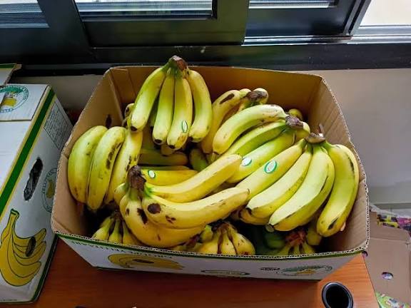 Banane locale : 12.500 tonnes écoulées en septembre grâce au gel des importations