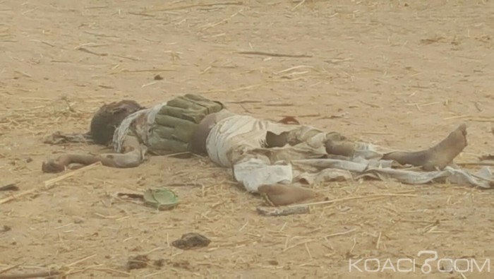 Nigeria: Quatre kamikazes présumés neutralisés à Maiduguri