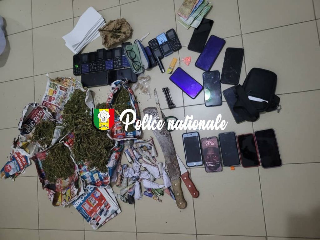 Dakar : 21 individus interpellés pour grand banditisme par l’Ocrtis