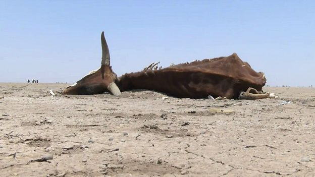 Ethiopie : un pays affecté par la sécheresse