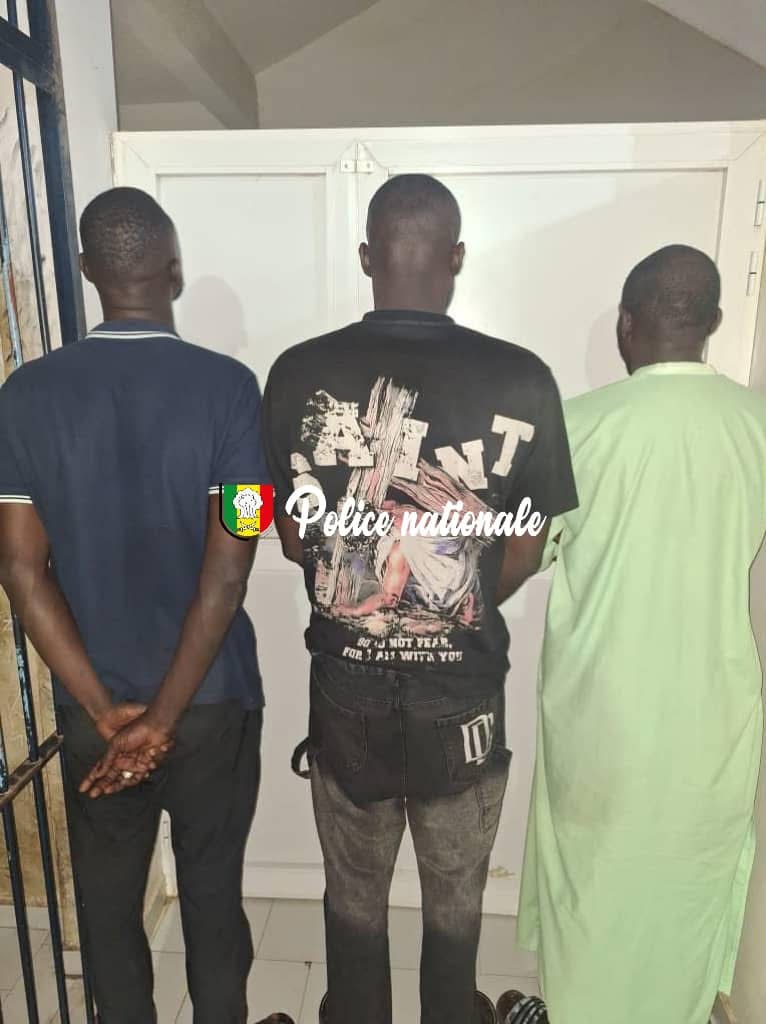 Parcelles Assainies : trois individus arrêtés pour “escroquerie au visa” et faux documents