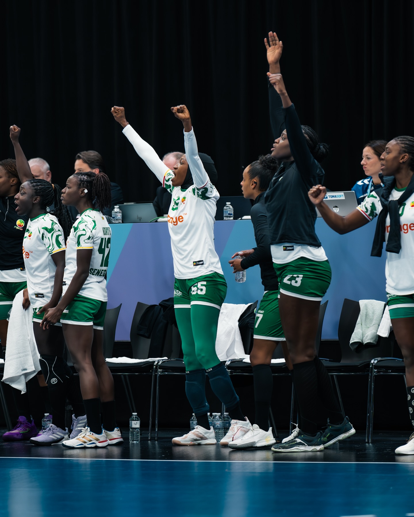 Mondial féminin handball 2025 : Danemark, Roumanie, Japon… les « Lionnes » face à un calendrier relevé au Tour principal
