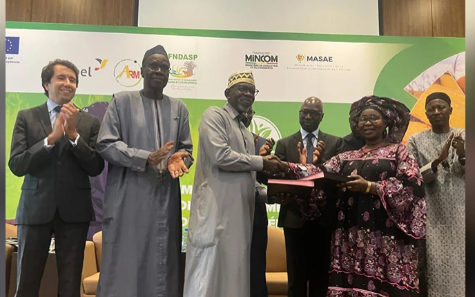 Commercialisation du maïs : un accord-cadre inédit pour sécuriser 25 000 tonnes de production locale