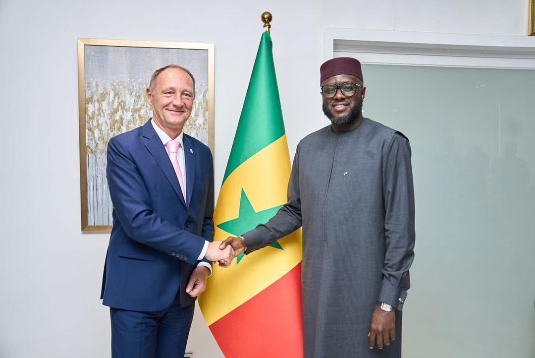 Modernisation parlementaire : El Malick Ndiaye présente les réformes en cours aux députés autrichiens 