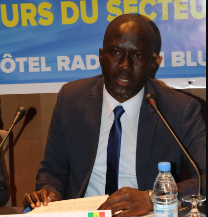 PAISD 3 : l’État mise sur la diaspora pour créer des emplois décents au Sénégal