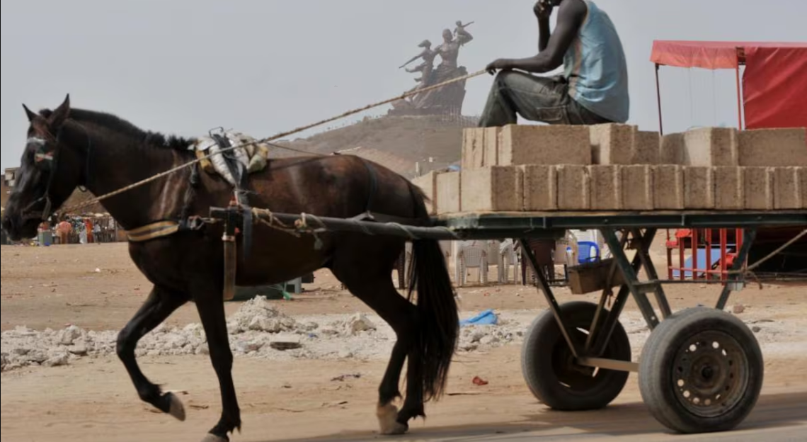 Transport à traction animale : le ministre de l’Intérieur rappelle les règles et sanctions contre la maltraitance des équidés 