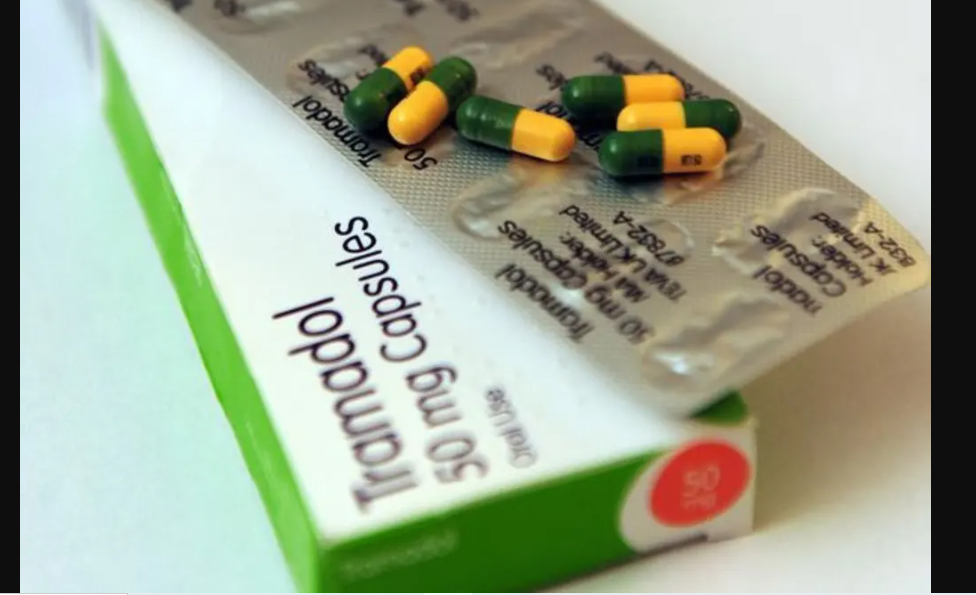 Saisie record de tramadol à la frontière malienne :  deux (02) Nigériens interpellés, 10 510 comprimés saisis