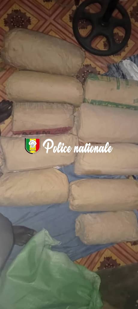 Lutte contre le trafic de stupéfiants : Saisie de 10 kg de chanvre indien à Karang