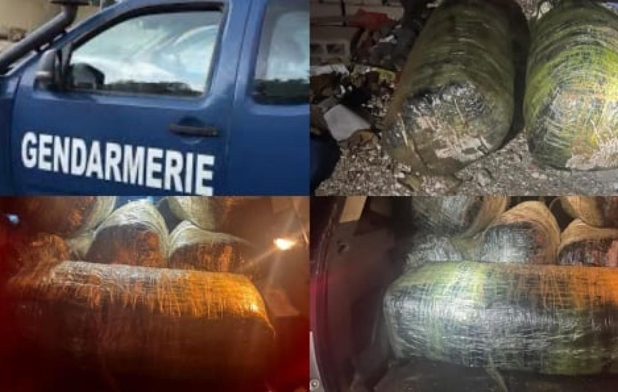 Kaolack : 114 kg de chanvre indien saisis dans une charrette en provenance de la Gambie