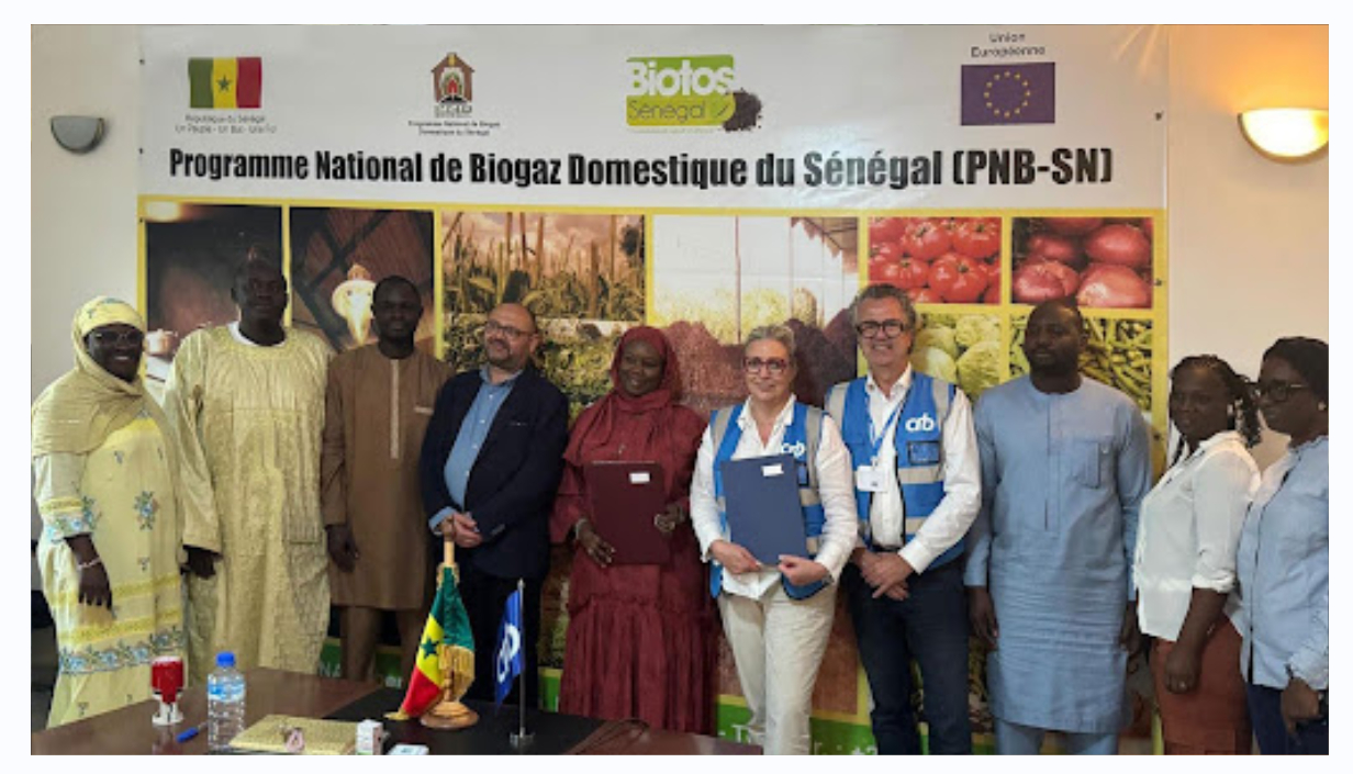 Mangrove et Biogaz : le Sénégal conclut des accords de crédits carbone avec une société japonaise