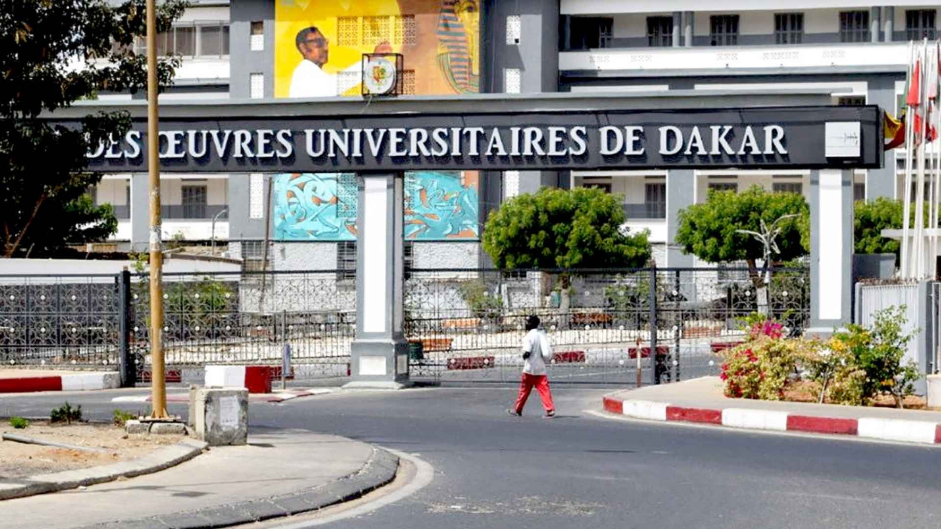 Recrutement de chercheurs en Guinée : le SUDES-ESR dénonce une « approche alarmiste » et réclame des réformes
