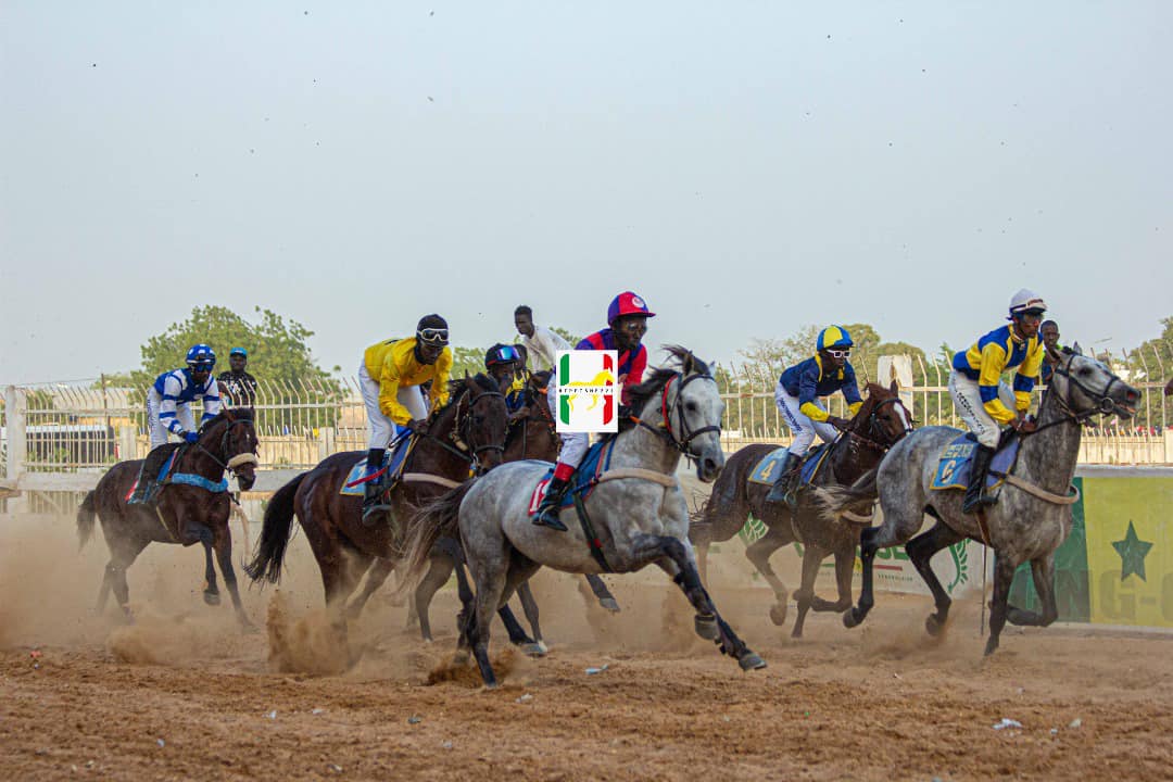 Comité National de Gestion des Courses Hippiques : un arrêté fixe les missions et la composition du bureau