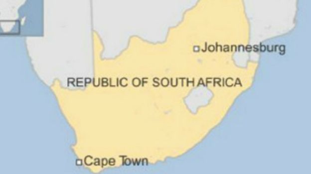 Afrique du Sud: Des singes sauvés