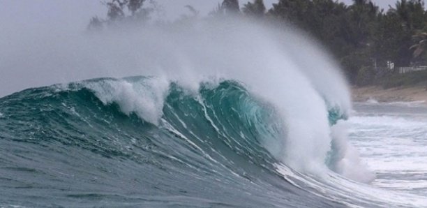 Météo : une houle dangereuse affectera, à partir du 18 janvier, une partie de la côte sénégalaise (ANACIM)