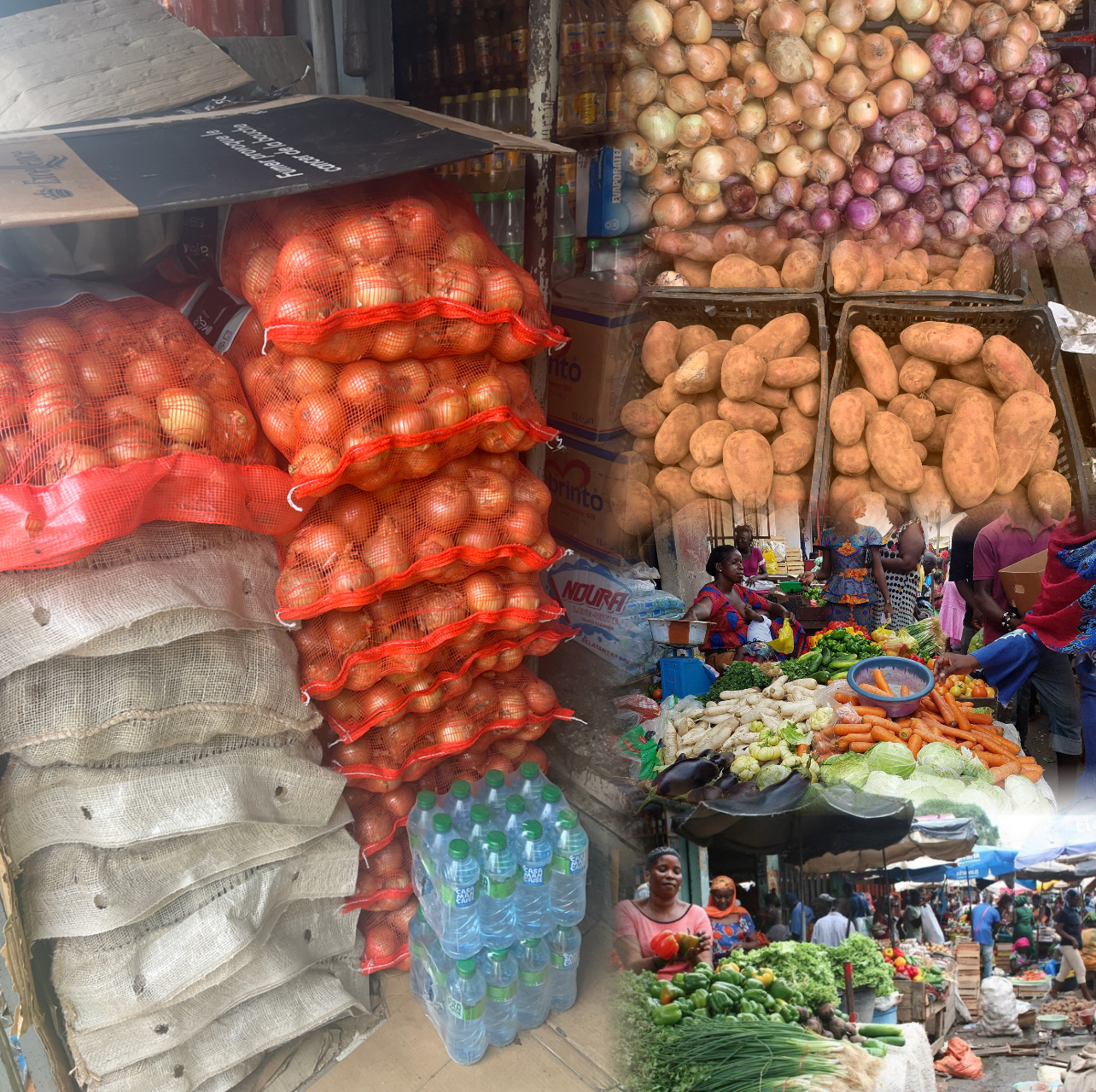 Sénégal : le ministère du Commerce gèle les importations de pomme de terre et d’oignon 