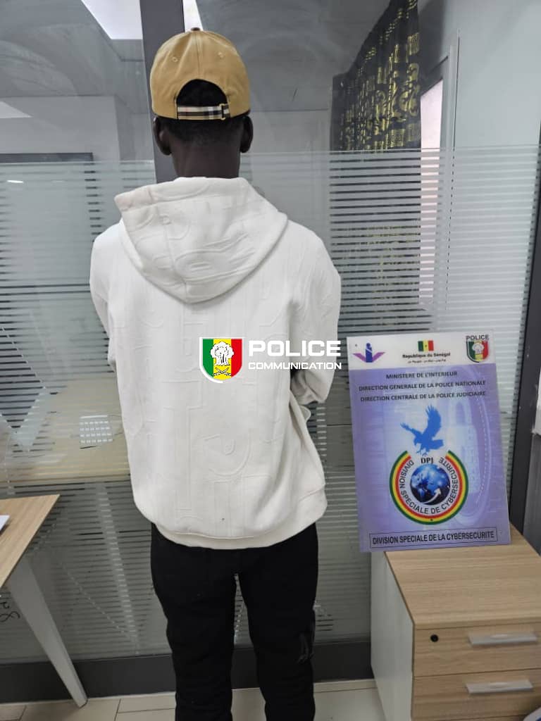 Kédougou : 2 640 comprimés de tramadol et 500 grammes de ”skunk” saisis, un individu arrêté