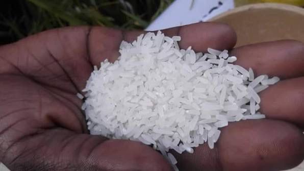 Thiès : le conseil régional de la consommation valide la baisse du prix du riz brisé ordinaire