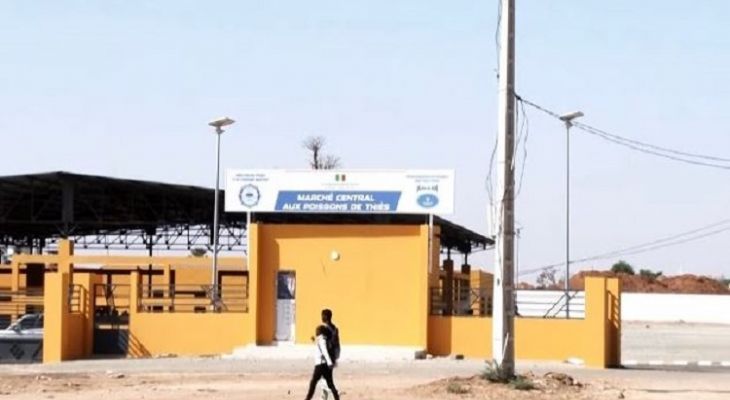 Marché aux poissons de Thiès : Dr Babacar Diop s’oppose à la décision de confier la gestion à Thiès-Nord