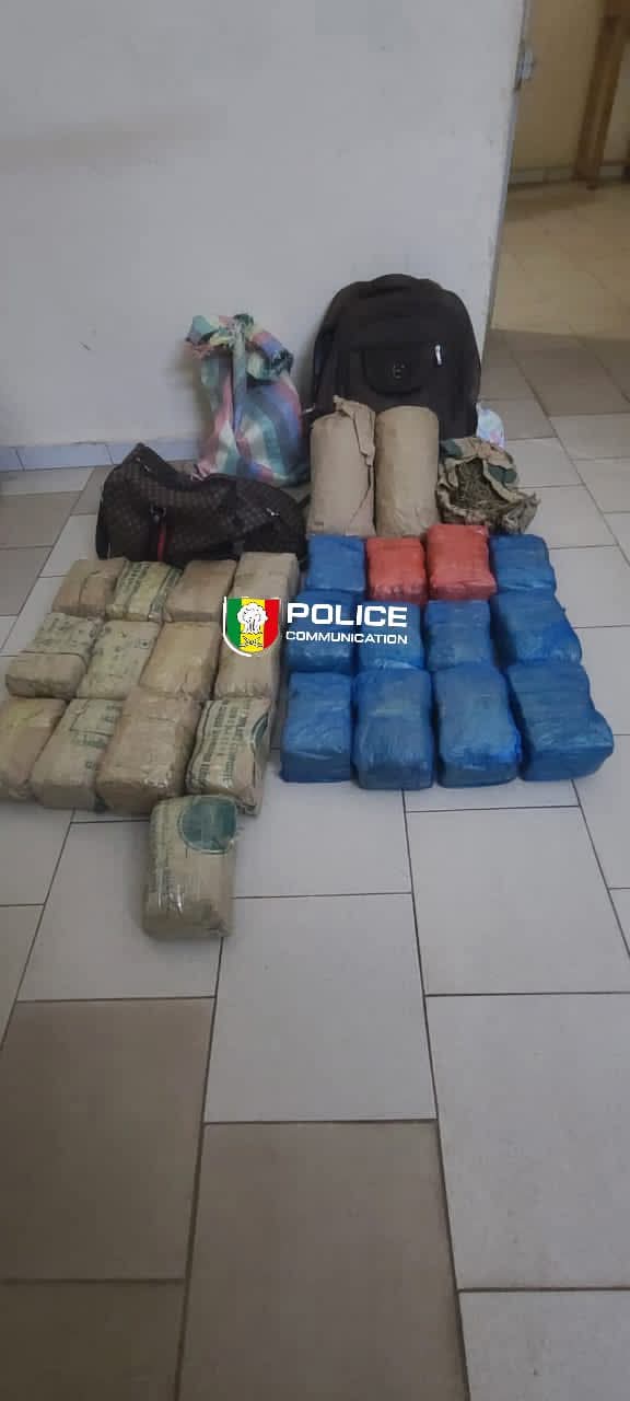 Fatick : 28 kg de chanvre indien saisis par la BRS, des trafiquants en fuite