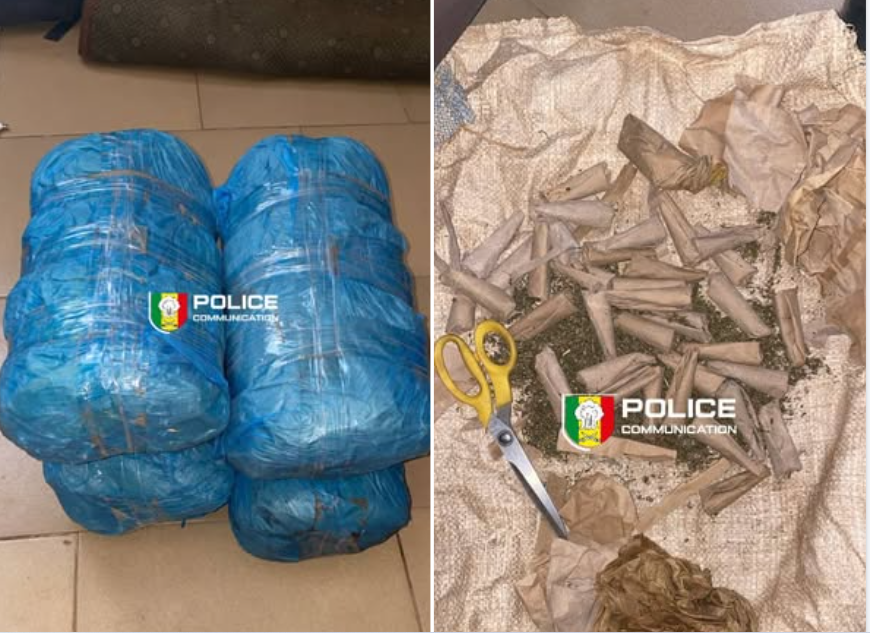 Sécurisation du Magal de Porokhane 2026 : la BRS de Kaolack démantèle un réseau et saisit 4 kg de chanvre indien