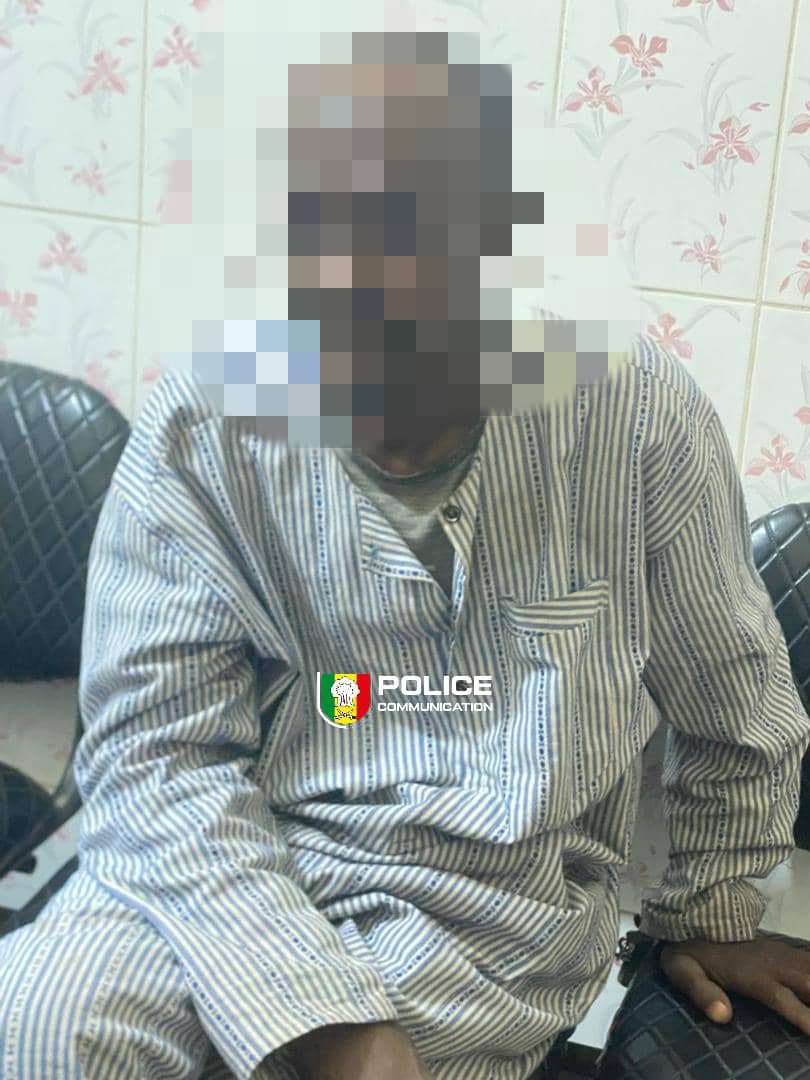 Kaolack : la Brigade des Stupéfiants saisit 55 kg de chanvre indien à Ngathie Naoudé