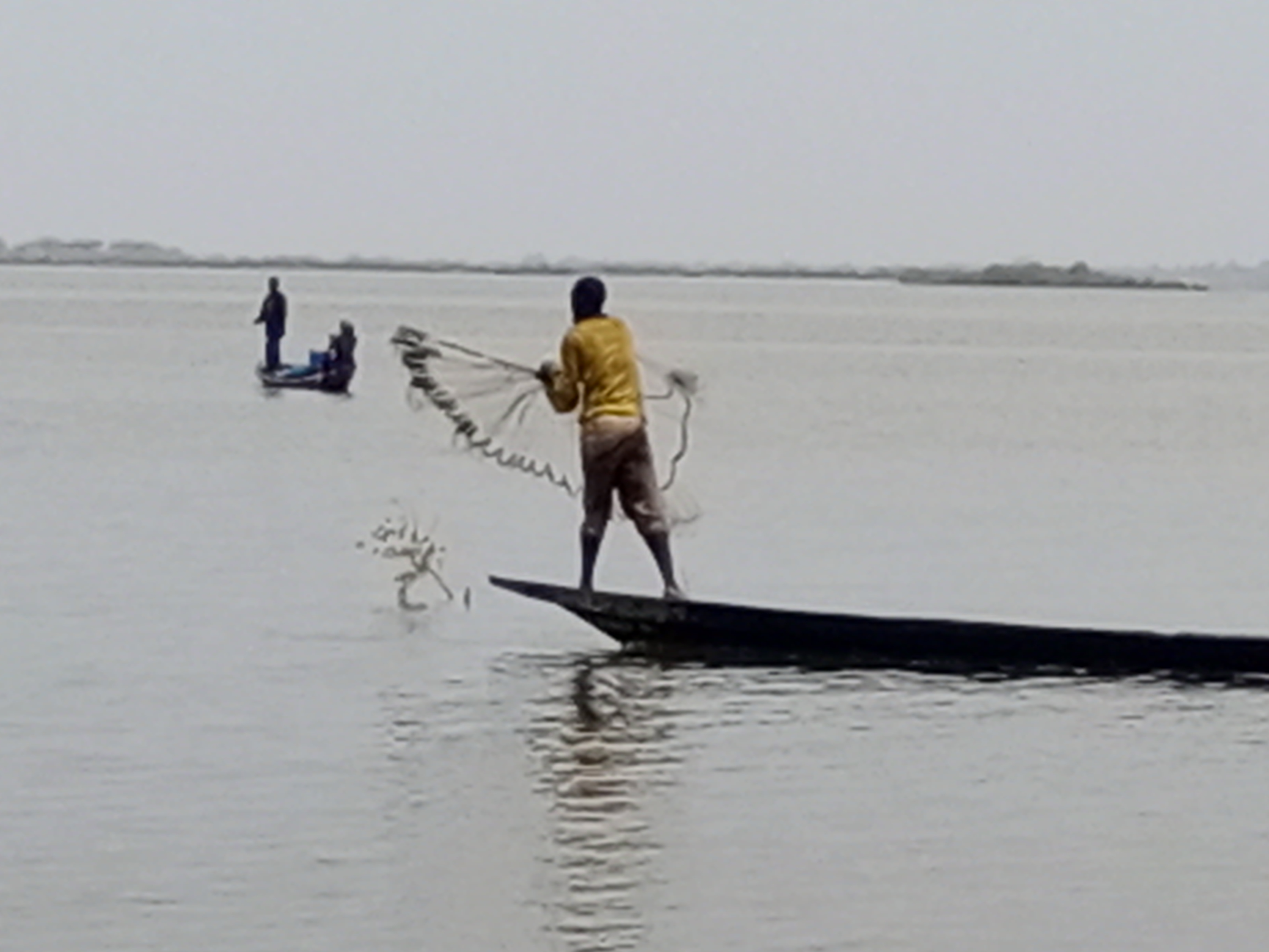 Les Sentinelles du Fleuve : le réveil de la pêche artisanale à Sédhiou
