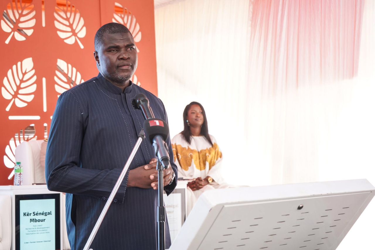 Sénégal: le gouvernement annonce "la construction prochaine" d’un centre national de la cinématographie