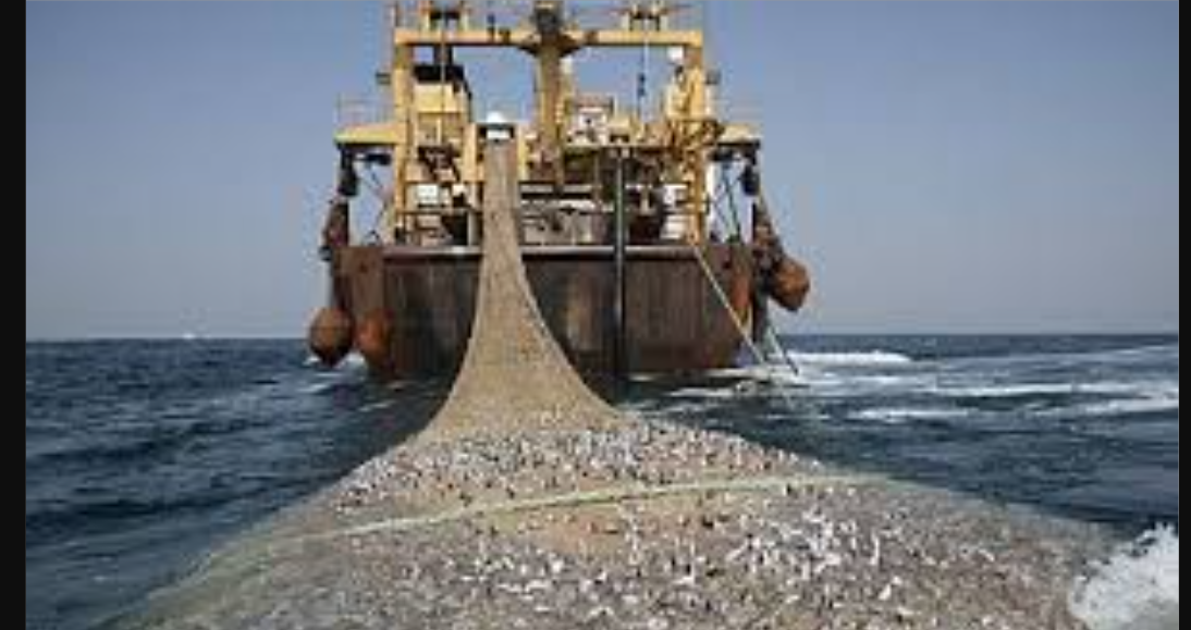 Afrique de l’Ouest : La CSRP en première ligne contre le pillage des océans